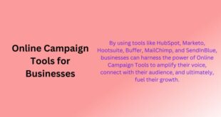 Online Campaign Tools for Businesses